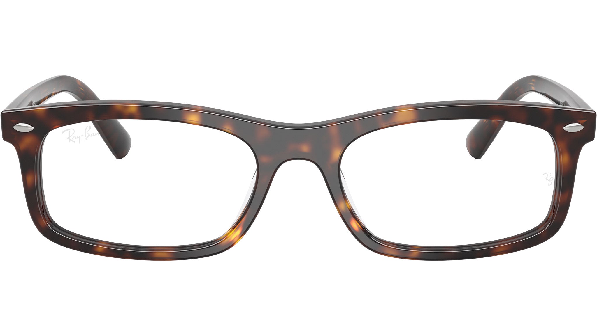 RB5450 Optics 2012