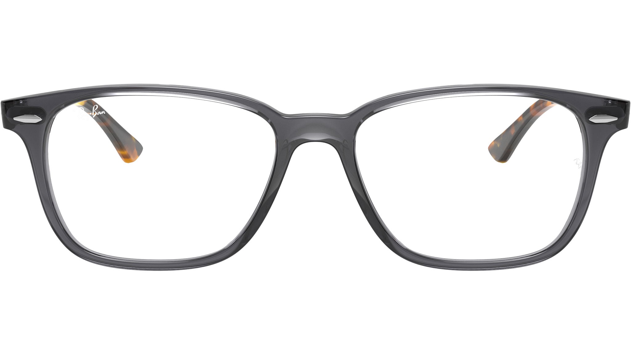 RB7119 Optics 5629