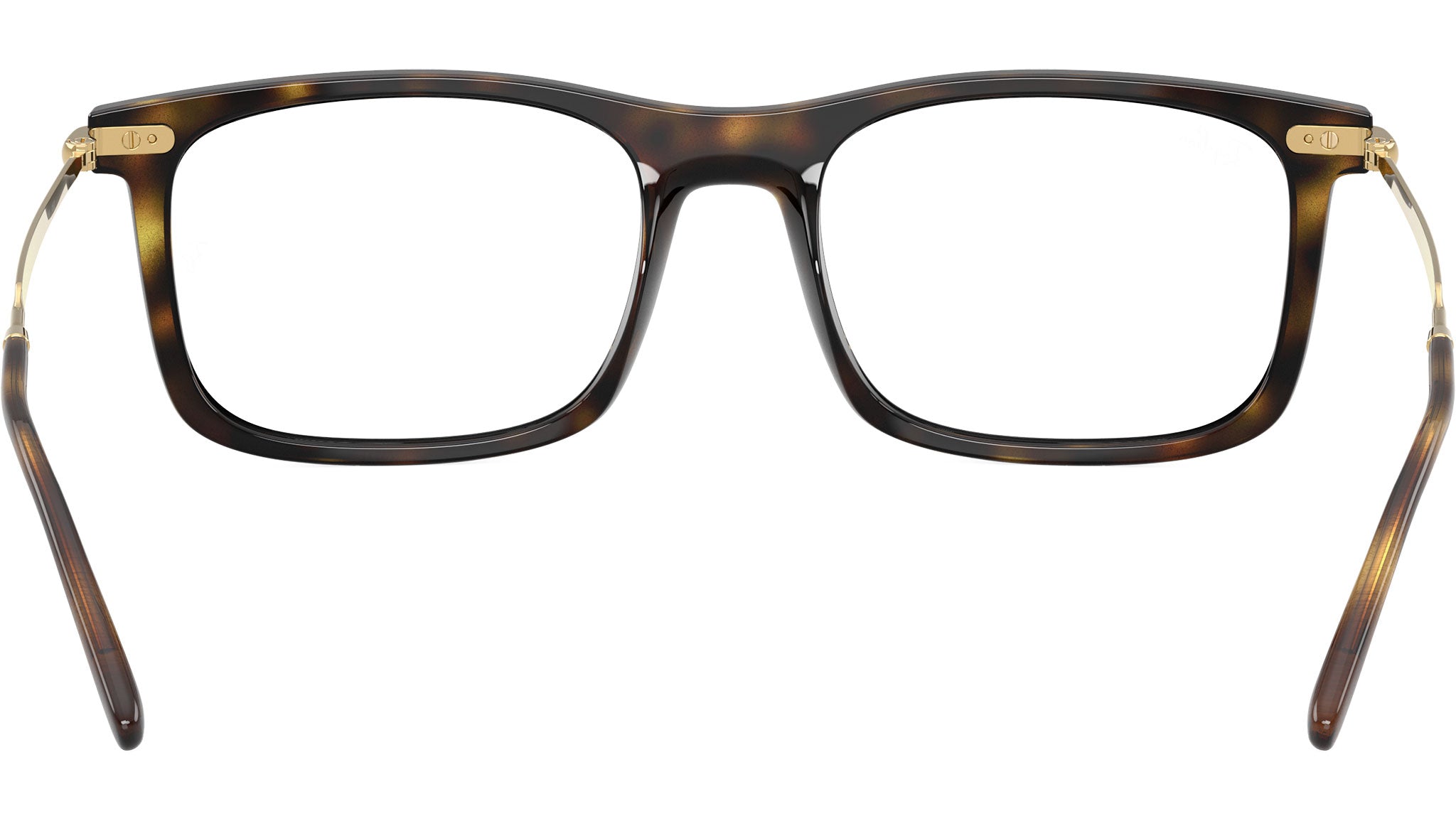 RB7260 Optics 2012
