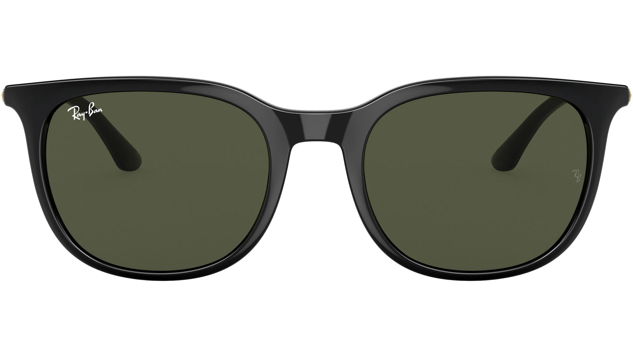 RB4386 601/31 black