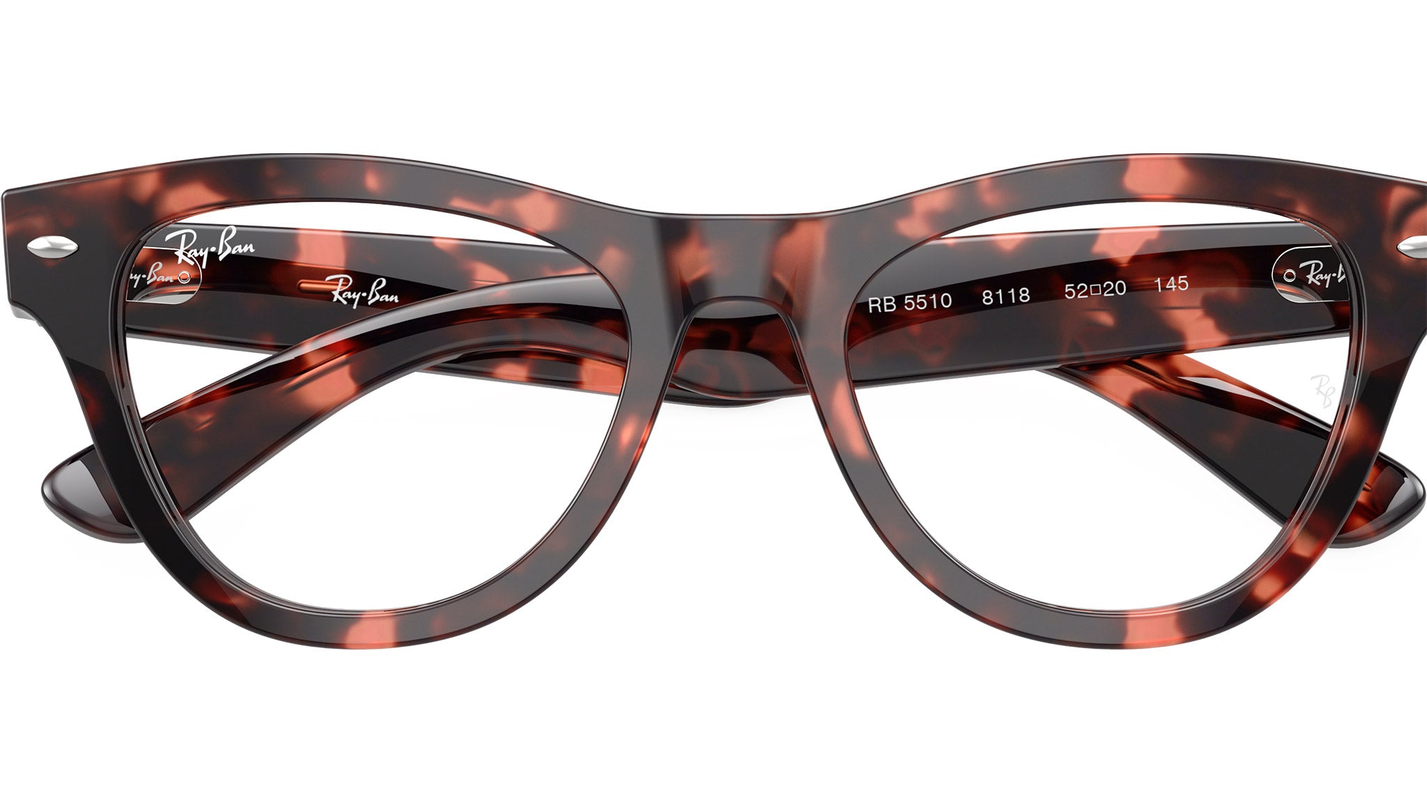 RB5510 Optics 8118