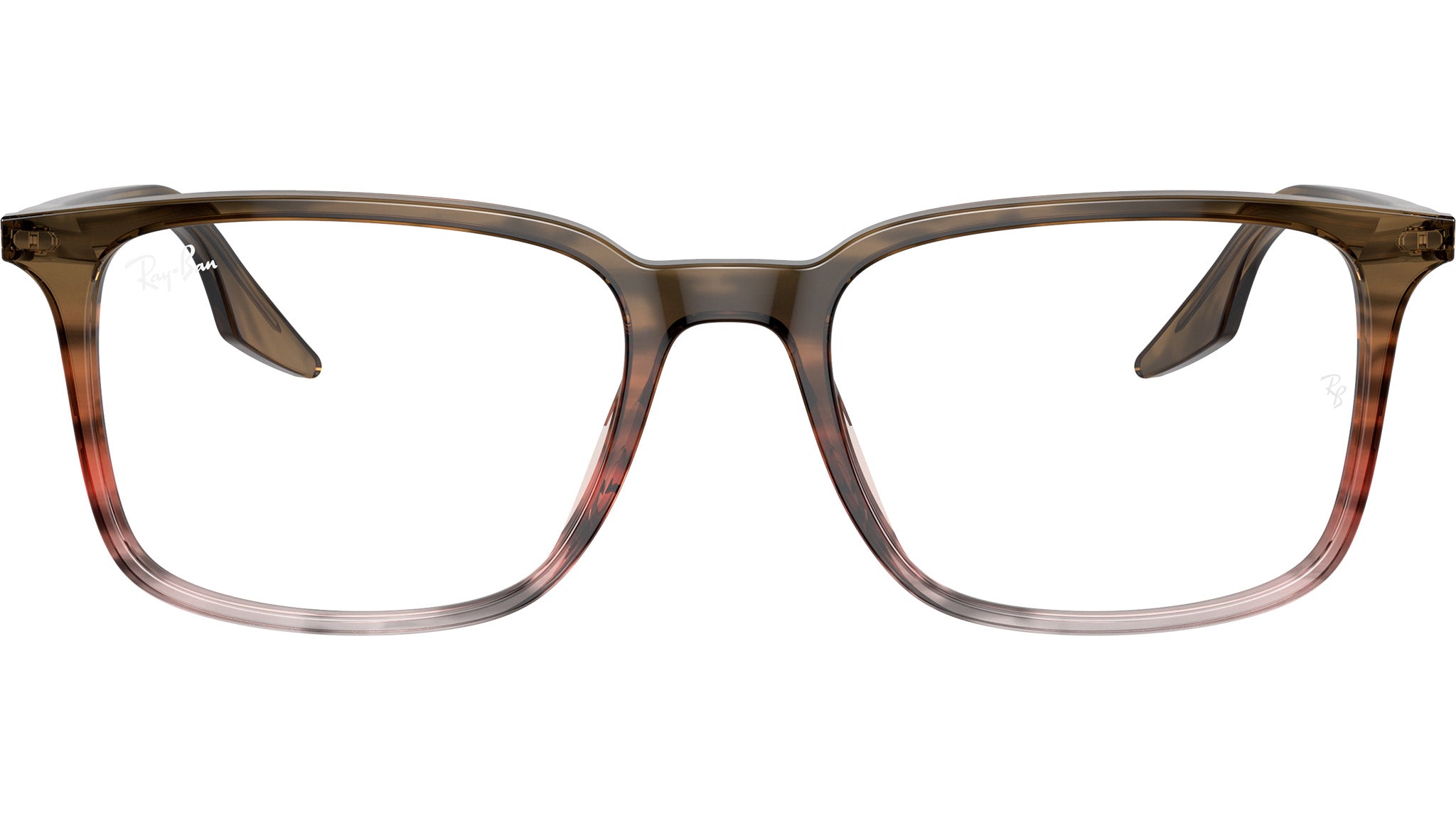 RB5421 Optics 8251