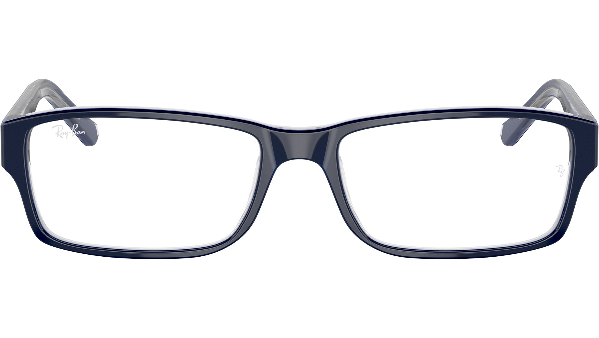 RB5169 Optics 5815