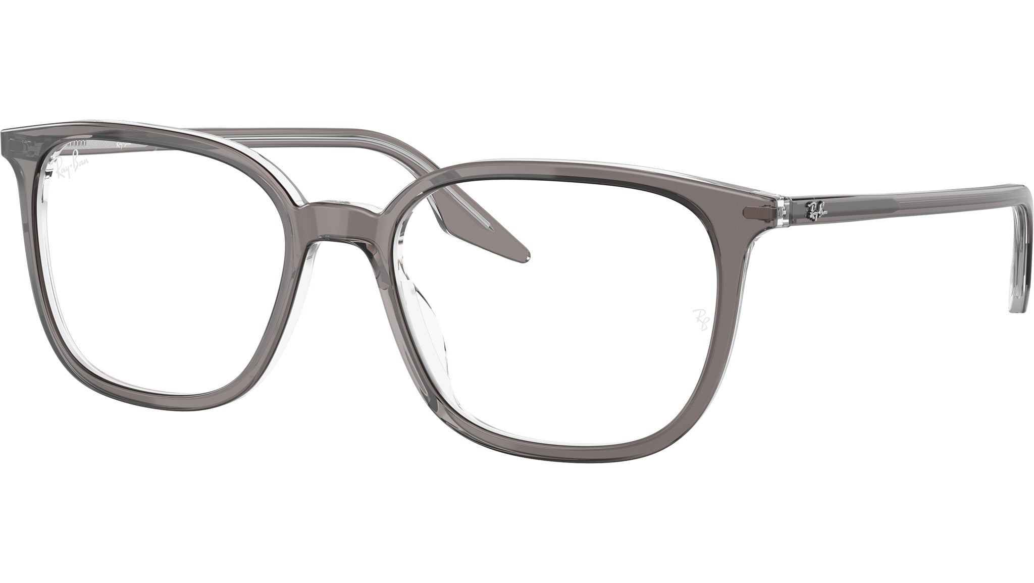 RB5406 Optics 8111