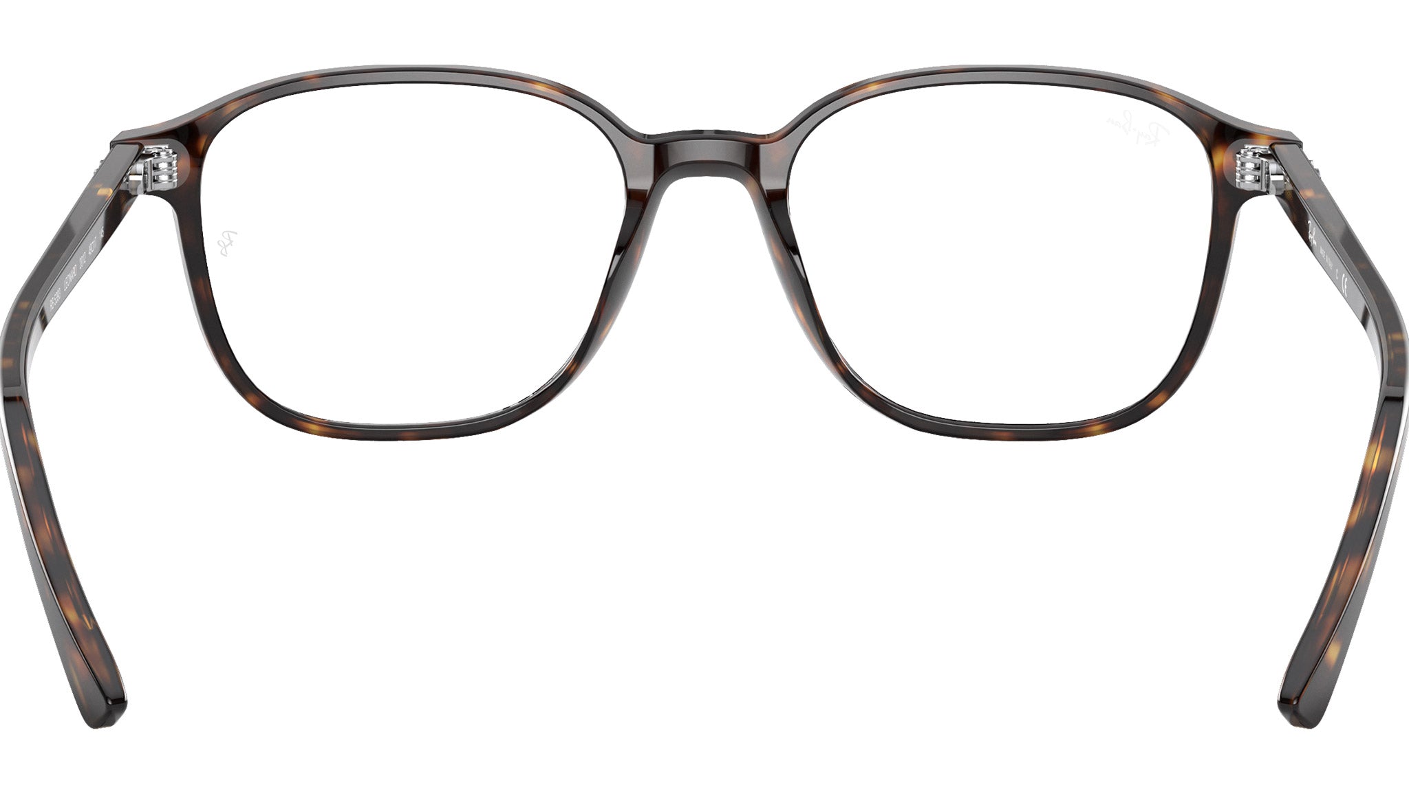 Leonard Optics RB5393 2012