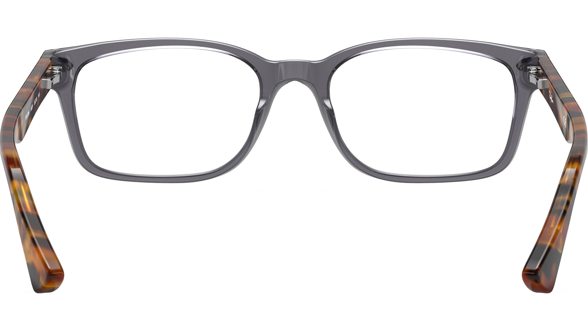 RB5286 Optics 5629