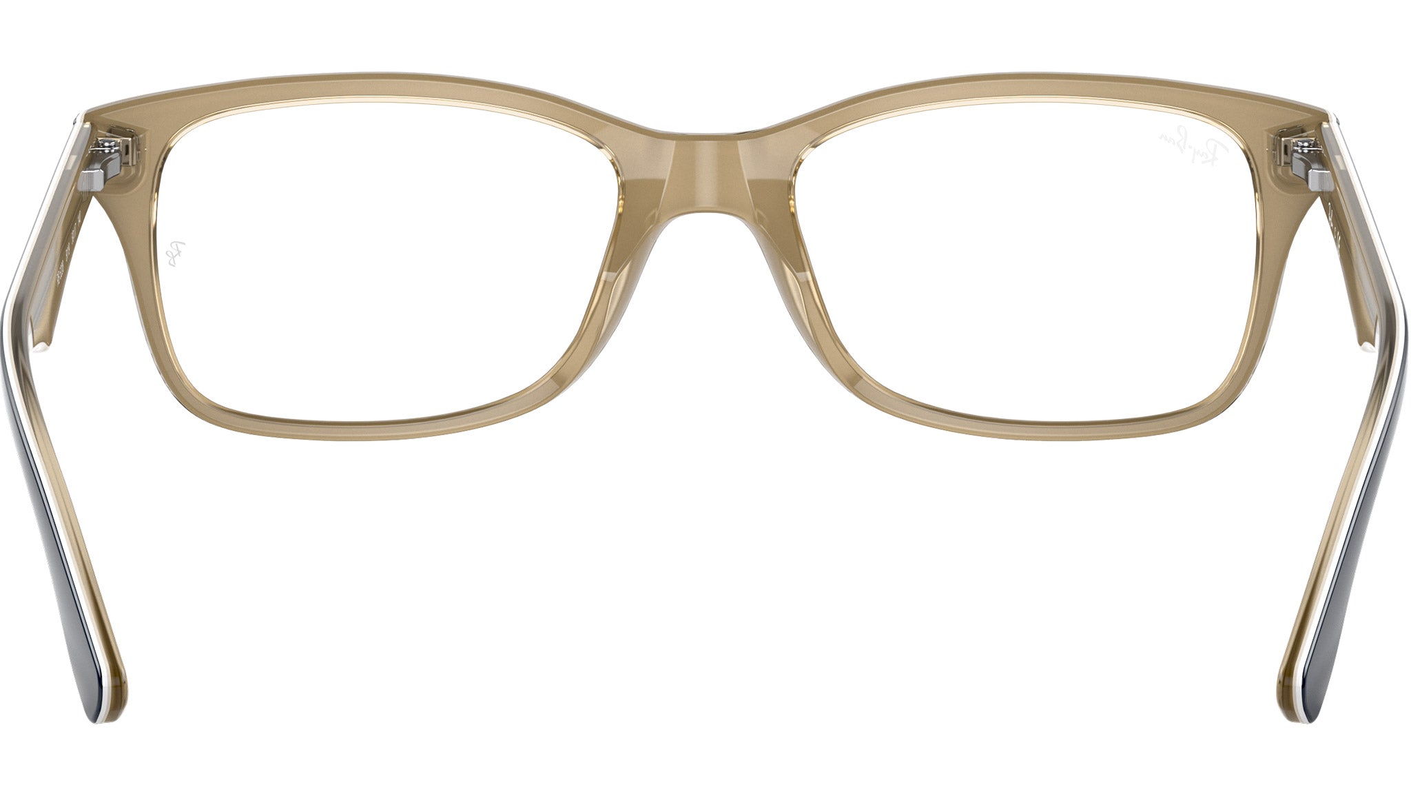 RB5228 Optics 8119