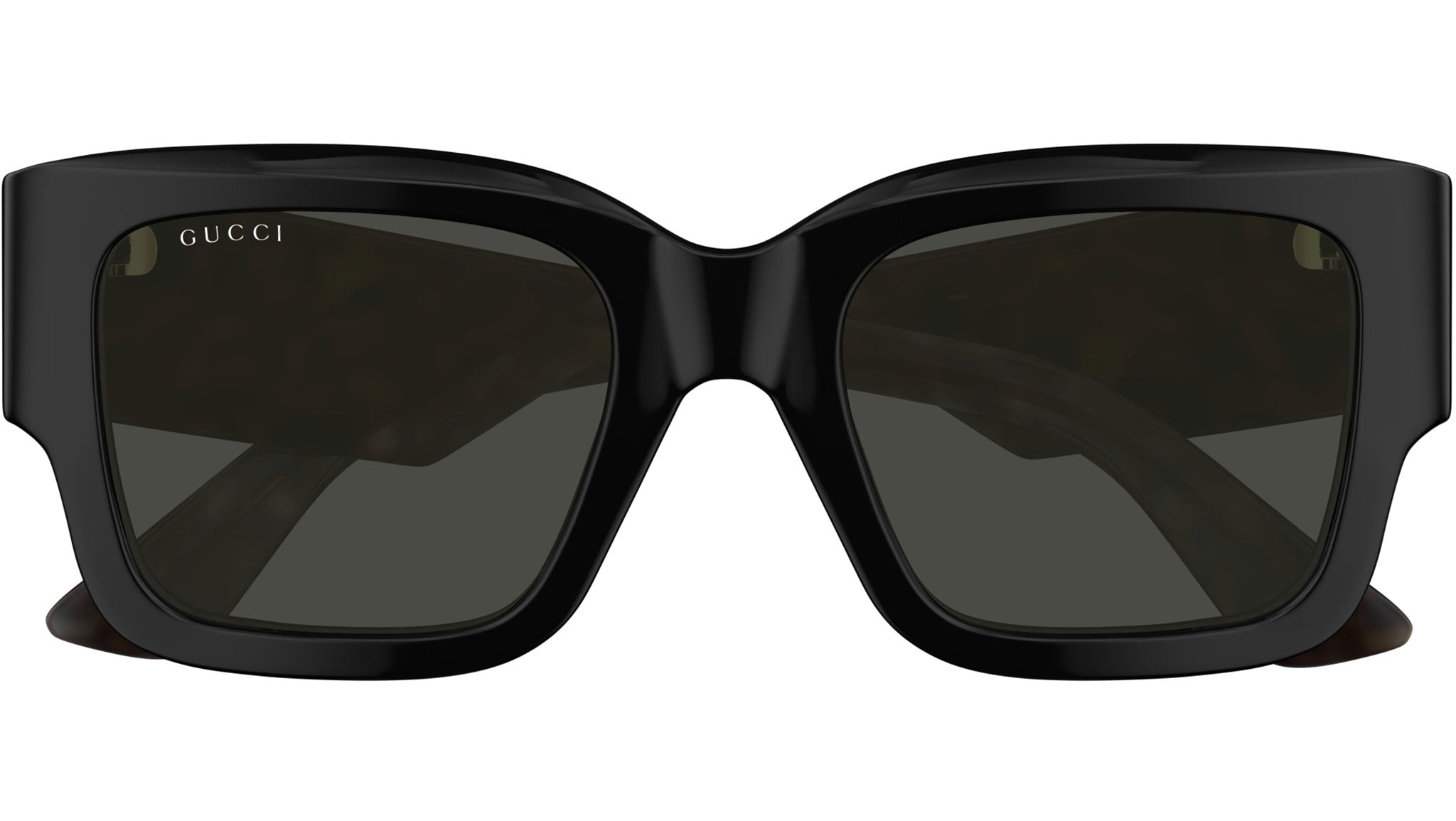 GG1663S 001