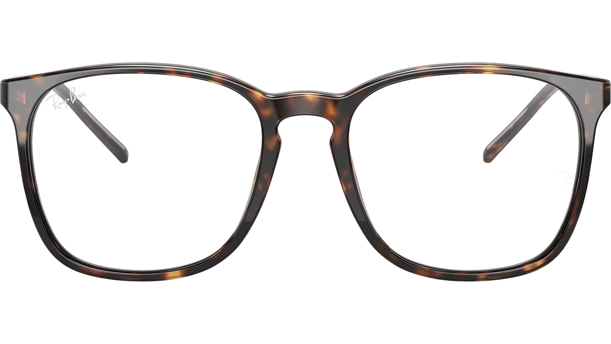 RB5387 Optics 2012