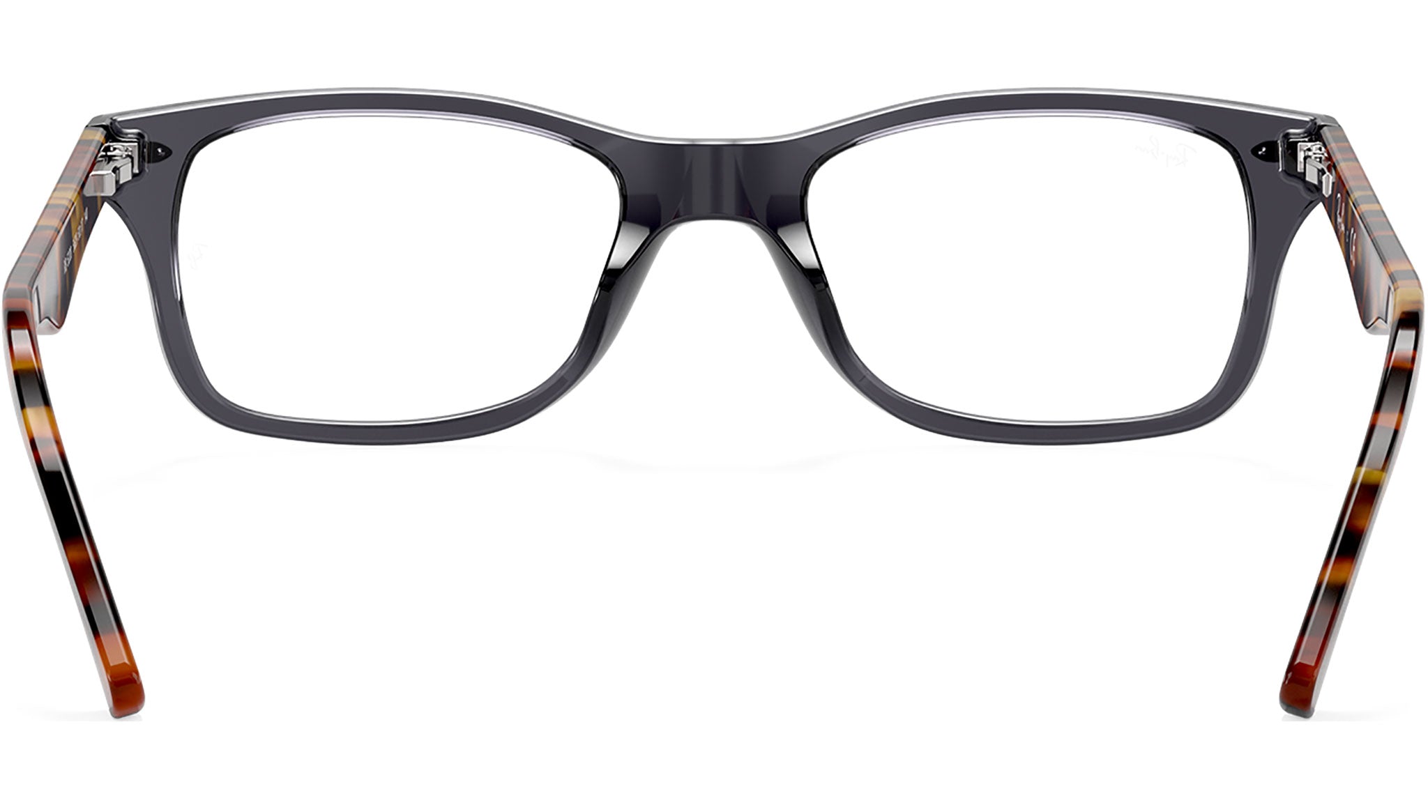 RB5228 Optics 5629