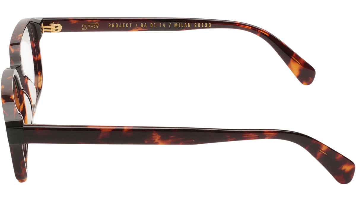 KAIR Classic Havana