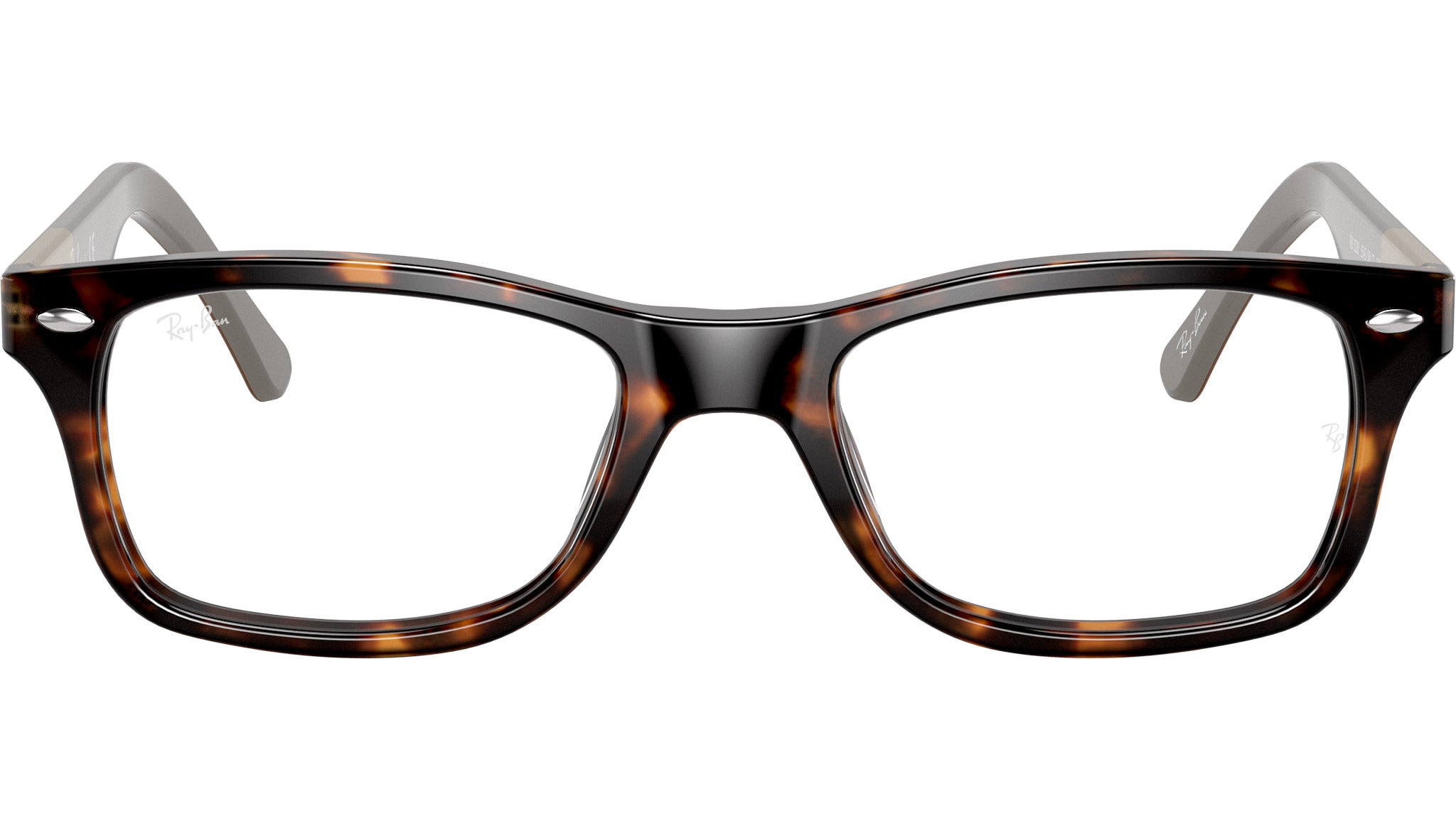 RB5228 Optics 5545
