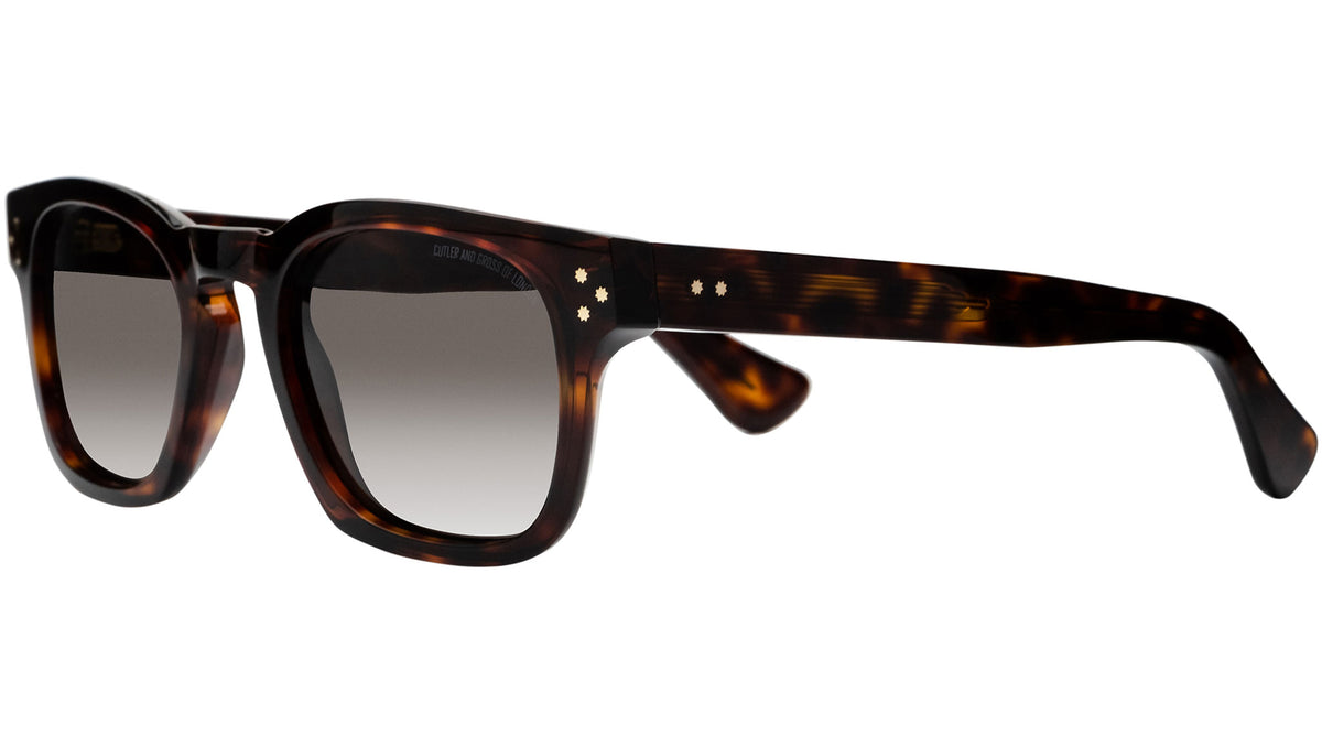 9768 Sun 02 dark turtle