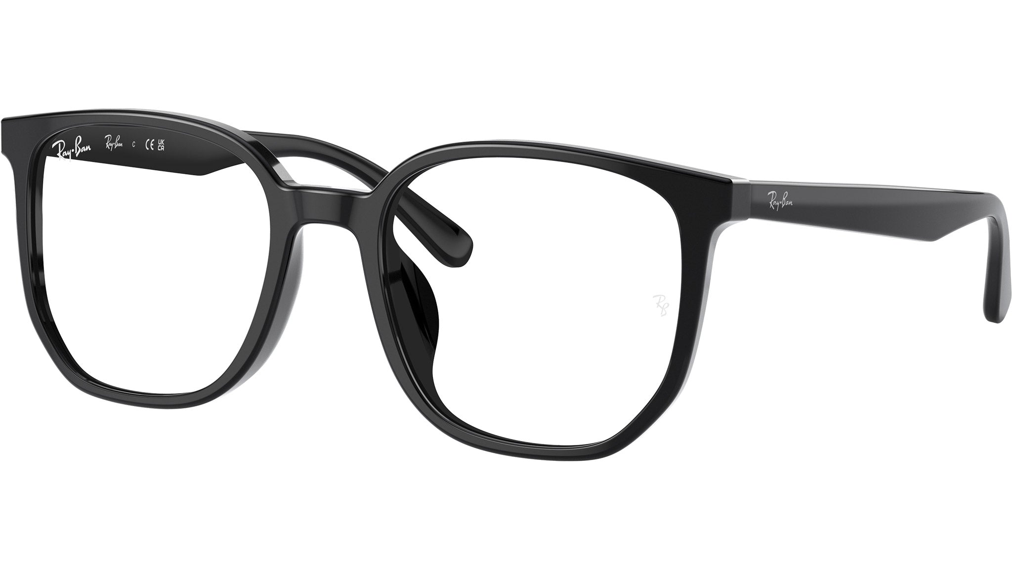 RB5411D Optics 2000