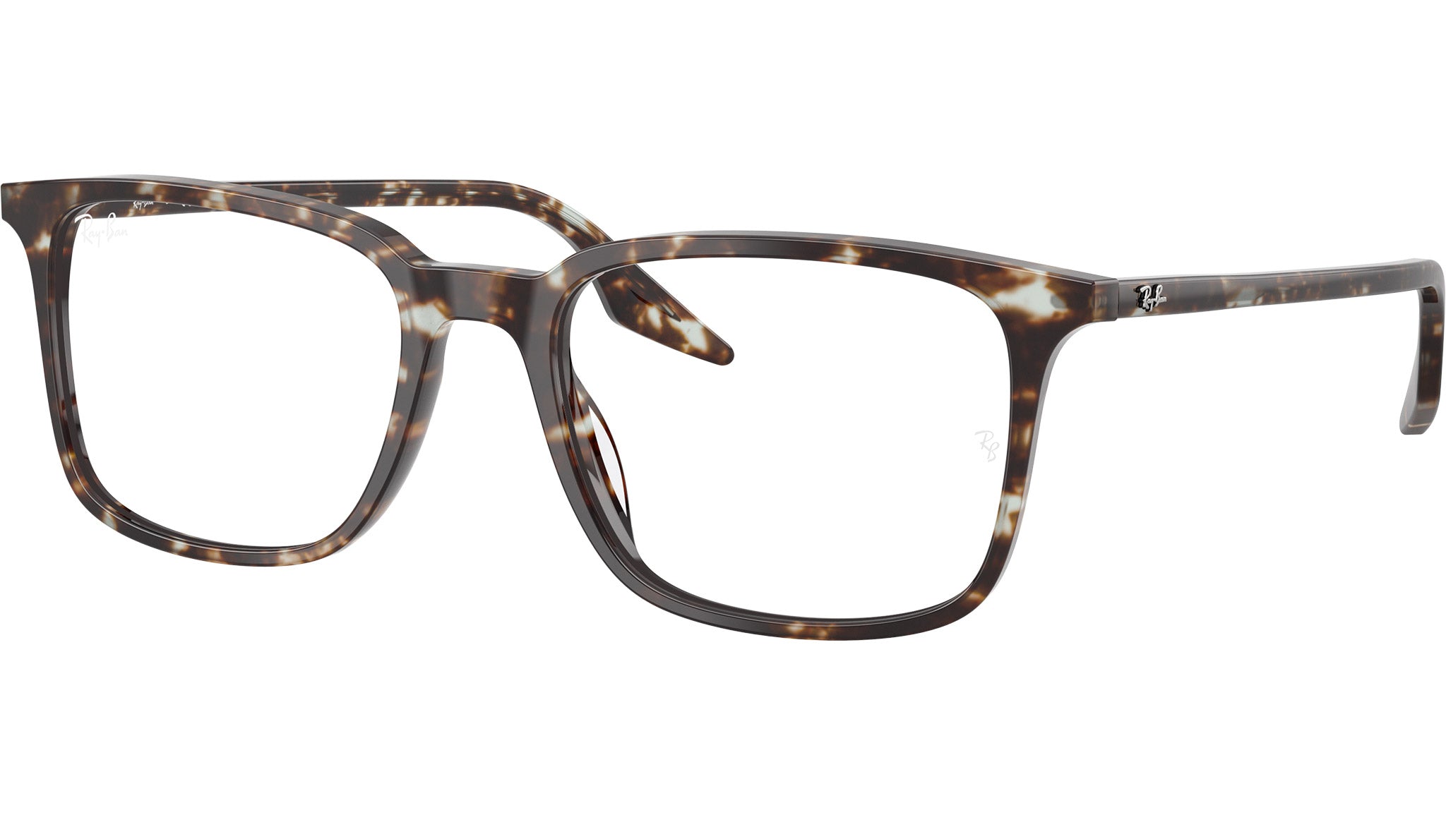 RB5421 Optics 8425