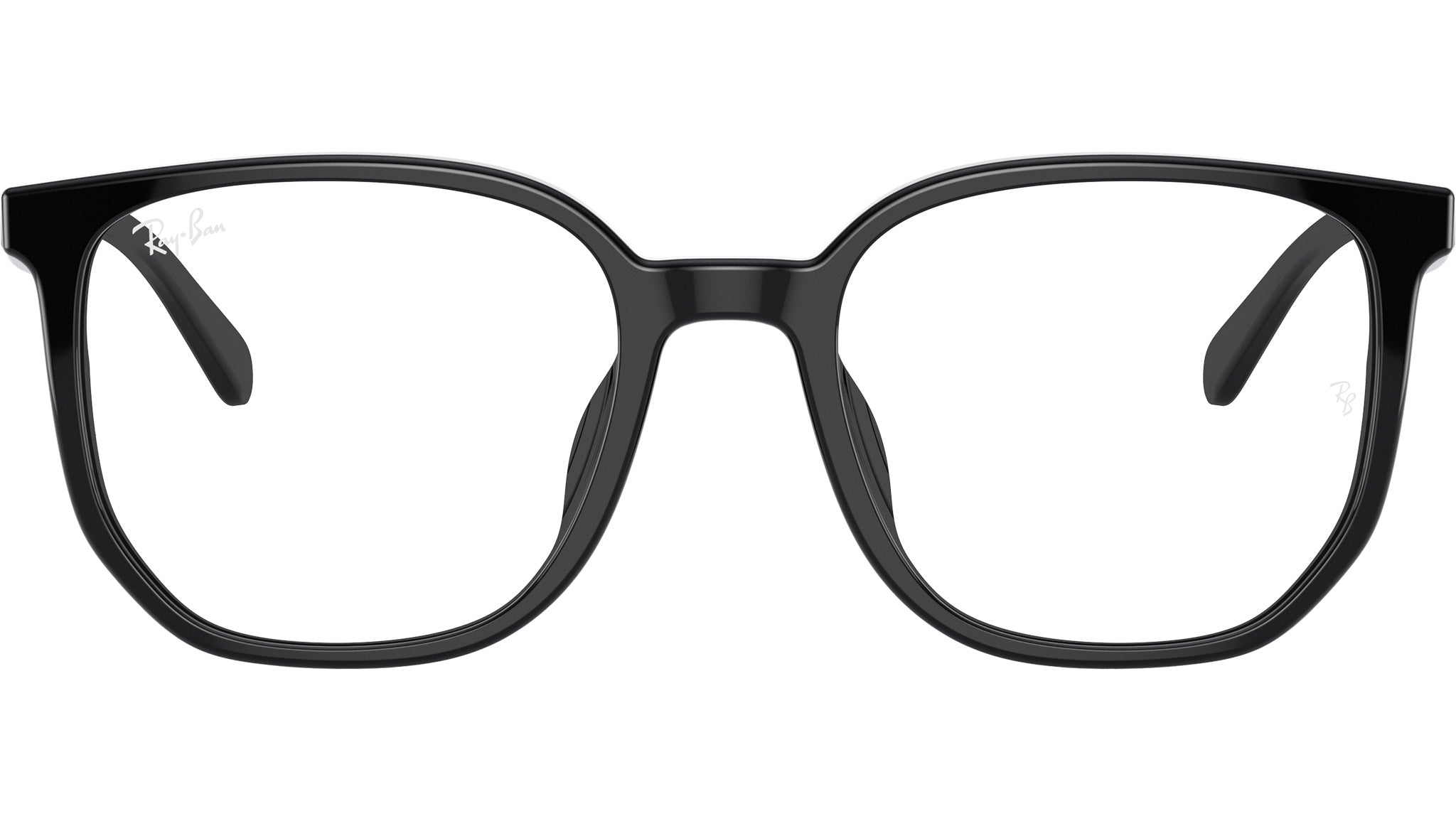 RB5411D Optics 2000