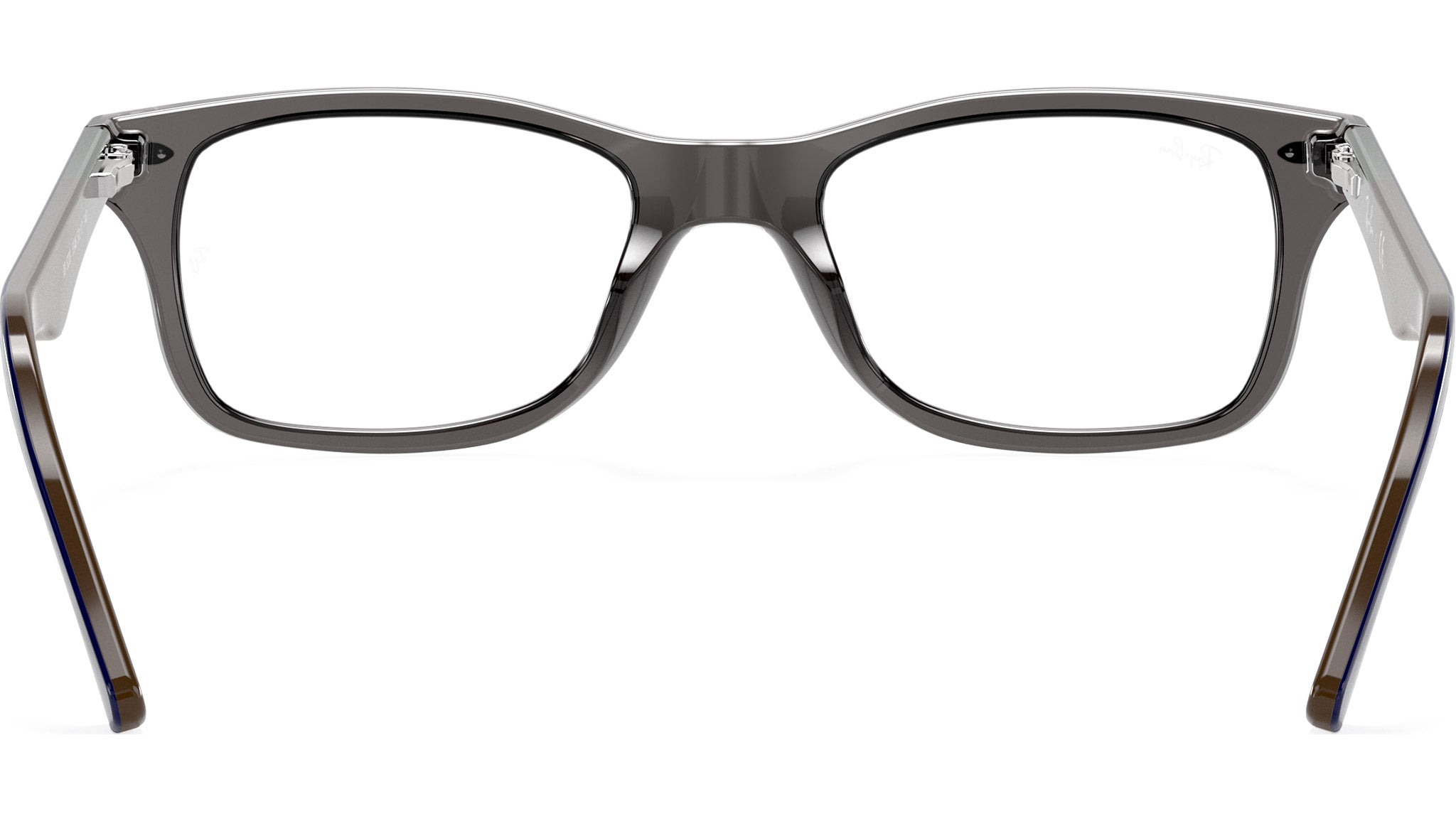 RB5228 Optics 5546