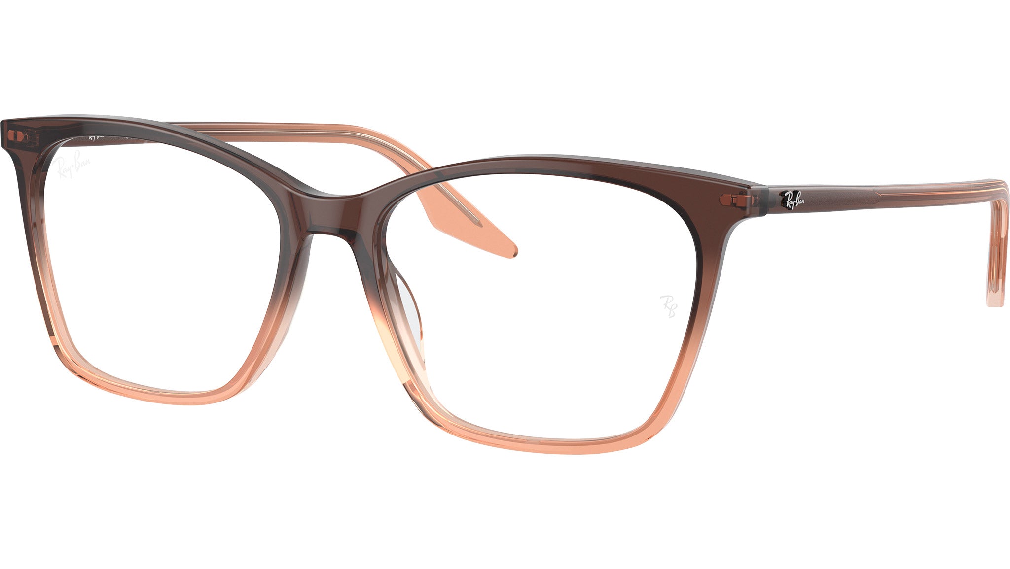 RB5422 Optics 8312