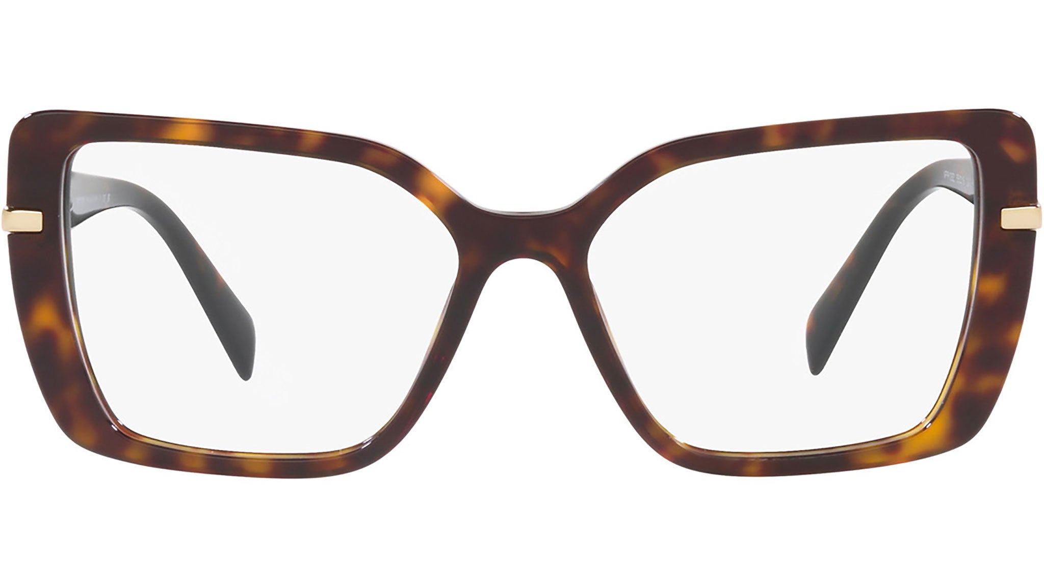 PR 03ZV tortoise