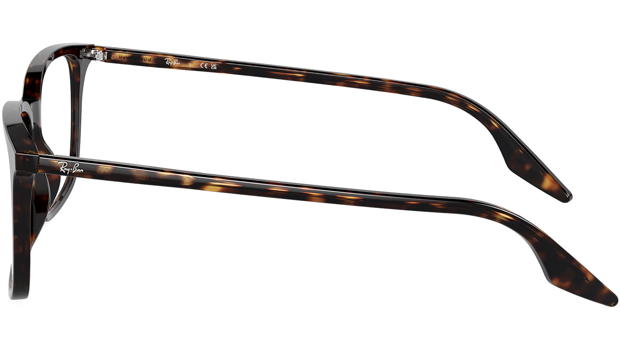 RB5421 Optics 2012